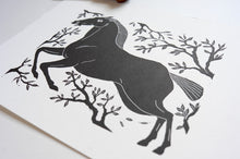 Load image into Gallery viewer, Phaeton brings the dawn