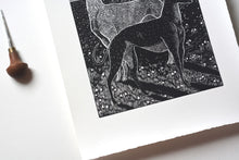 Load image into Gallery viewer, Milk-Flower Of The Snow Greyhounds