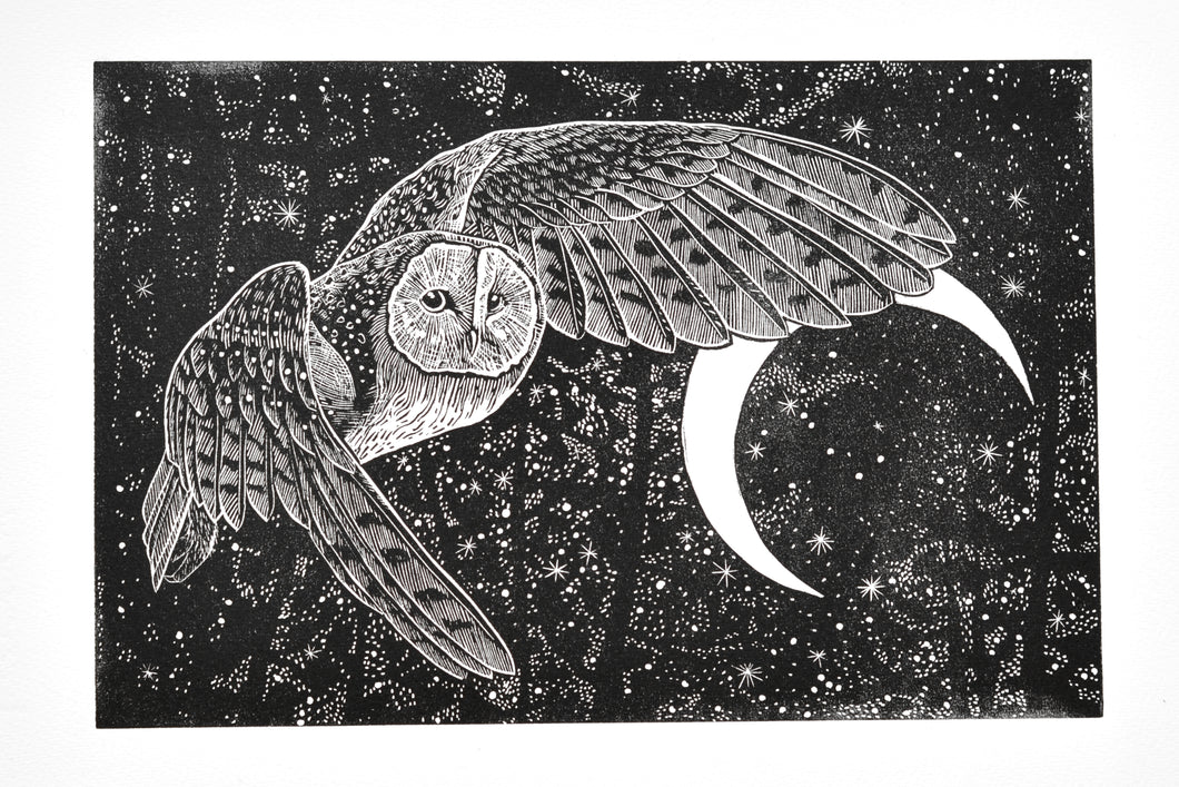 Leap Of Faith - The Barn Owl
