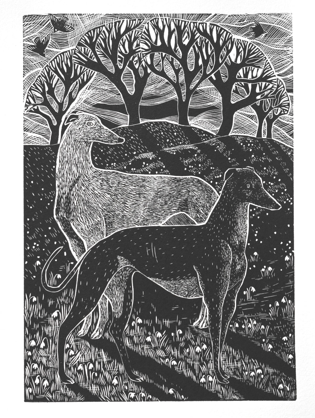 A black and white hand printed linocut art print depicting two greyhounds amidst snowdrops, with tree silhouettes in the background.