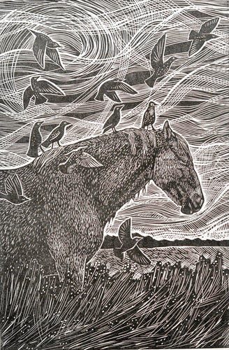 Black and white illustration of a horse with birds on its back, set against a swirling patterned background.