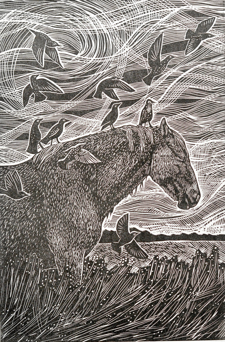 Black and white illustration of a horse with birds on its back, set against a swirling patterned background.
