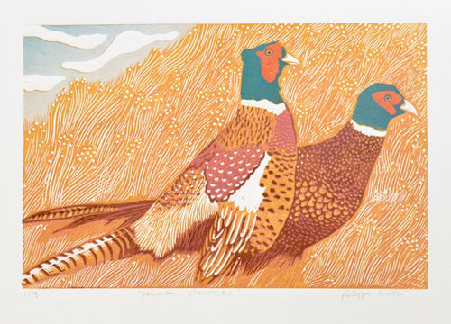 linocut Illustration of two pheasants on a textured orange background