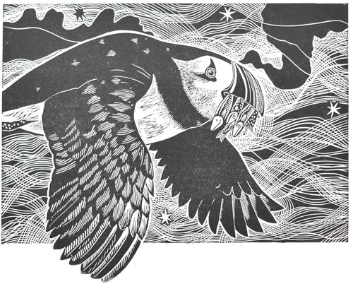 Black and white hand carved linoprint illustration of a puffin bird flying with a starry background 