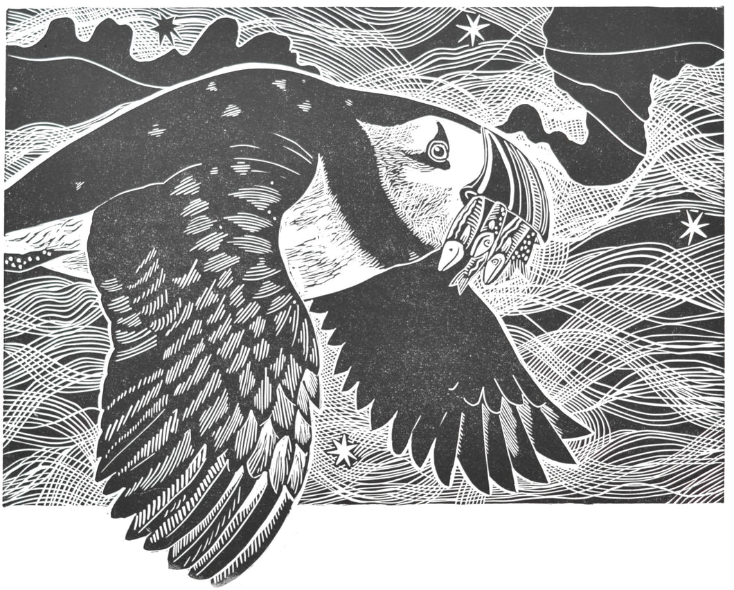 Black and white hand carved linoprint illustration of a puffin bird flying with a starry background 
